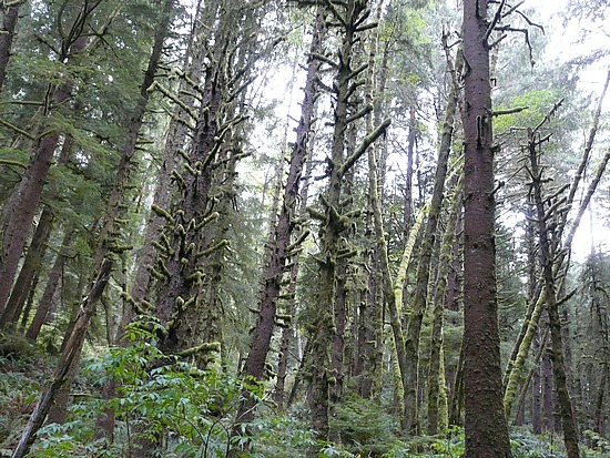 Ecola State Park