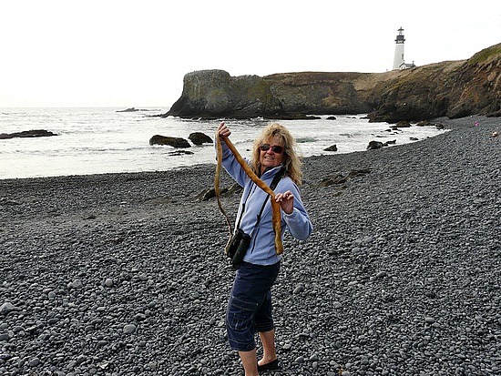 Bull Kelp Cobblestone Beach