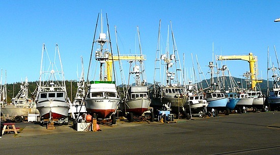 Dolly dock with boats