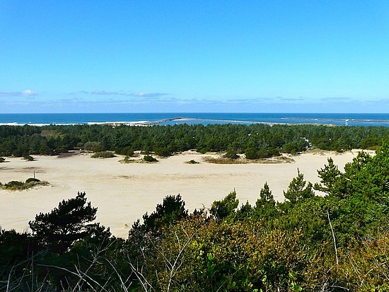 Dunes stretching to the sea