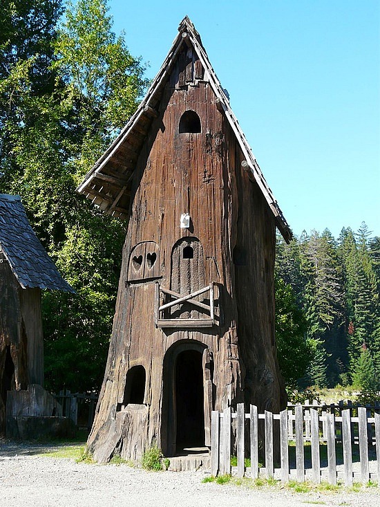 A house carved out of a tree