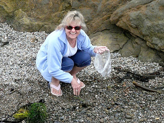 Sally prospecting at Glass Beach