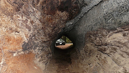 Z4 viewed through redwood tree trunk