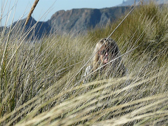 Hiding in the dune grasses