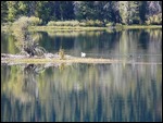 Oxbow Bend