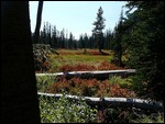 Grand Teton National Park 