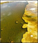 Gorgeous Geothermal Activity