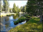 Old Faithful Walk