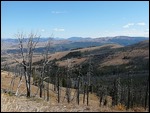 Signs of 1988 Fire