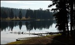 View from Fishing Bridge