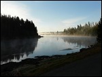 Fog Over the Yellowstone River