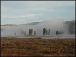 Foggy Morning