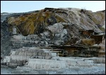 Mammoth Hot Springs