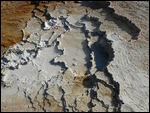 Mammoth Hot Springs