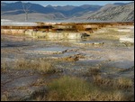 Mammoth Hot Springs