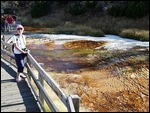 Sally at Mammoth Hot Springs