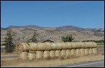 Rolls of Hay in Montana Countryside