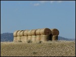 Montana Countryside