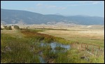 Montana Countryside