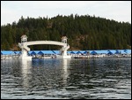 Coeur d'Alene