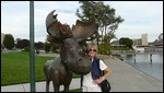 Hugging a Moose in Coeur d'Alene