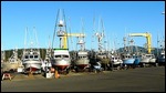 Dolly dock with boats