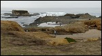 Glass beach