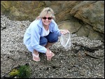 Sally prospecting at Glass Beach