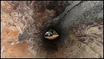 Z4 viewed through redwood tree trunk